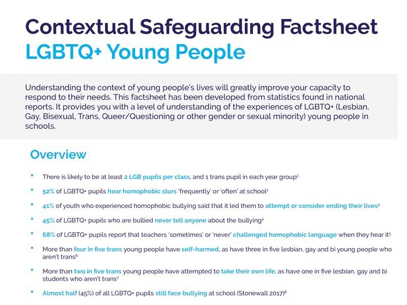 Screenshot of the 'LGBTQ+ Factsheet' resource