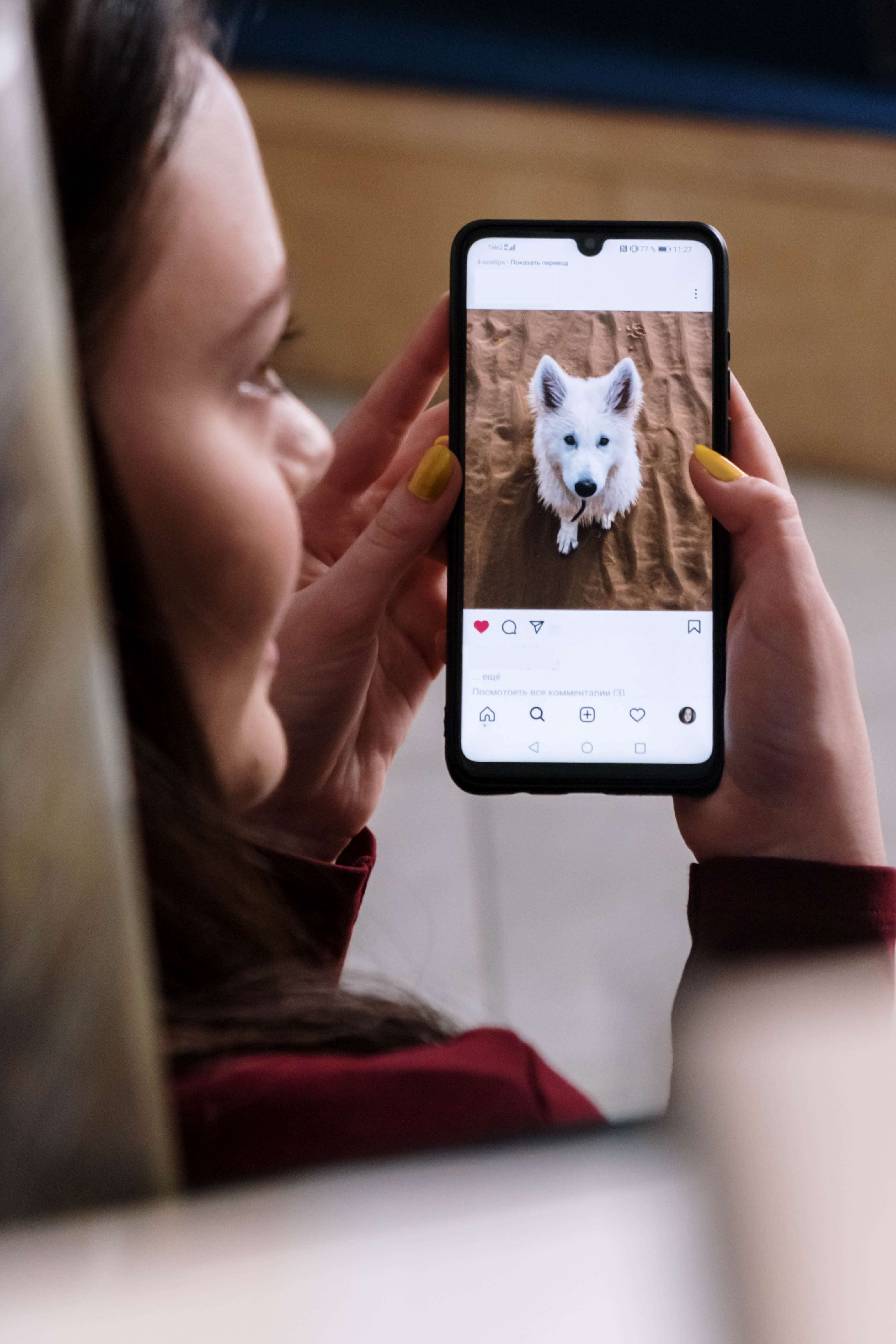 Photo of a girl on her Instagram account showing a dog photo