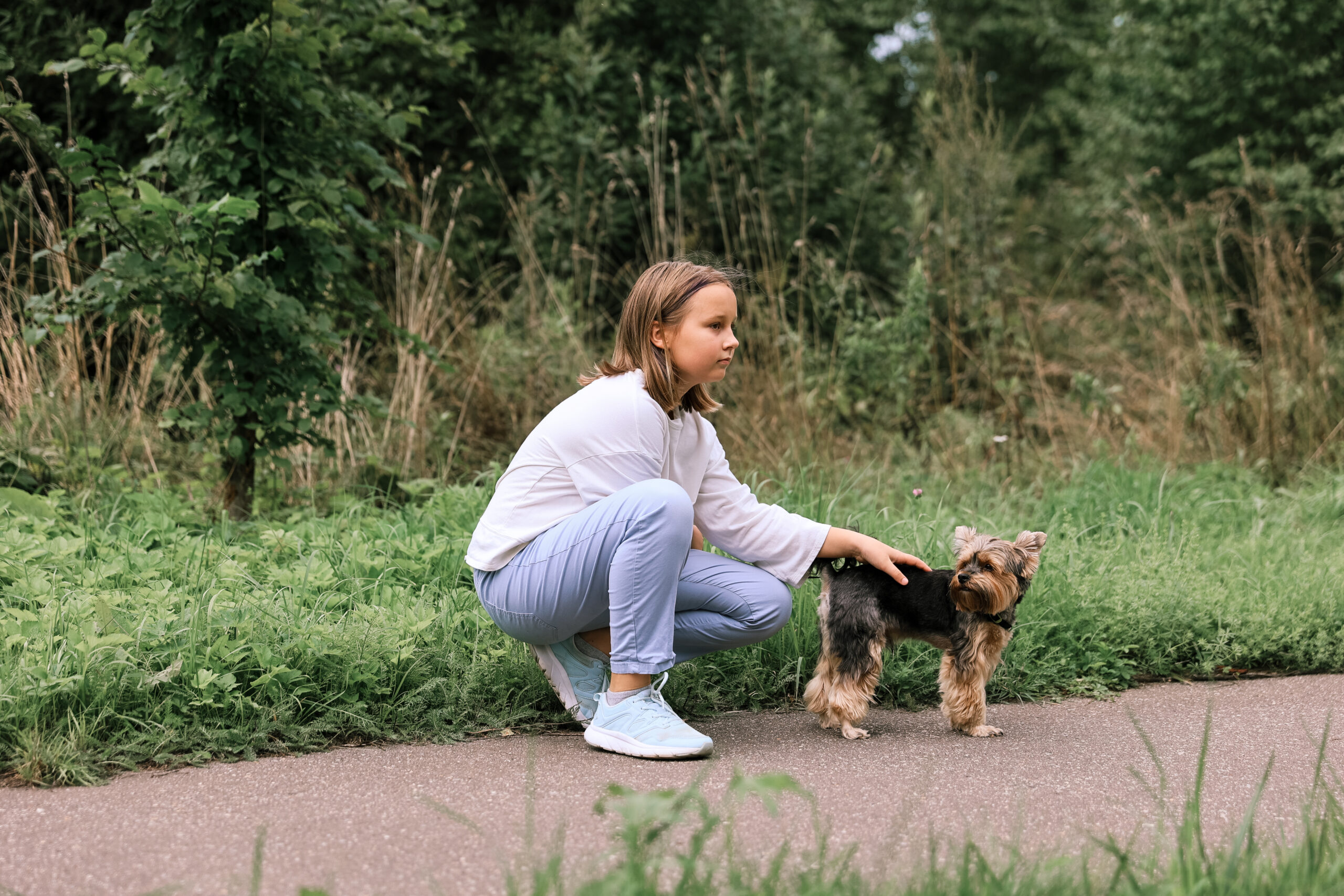 young girl walking her Yorkshire terrier dog