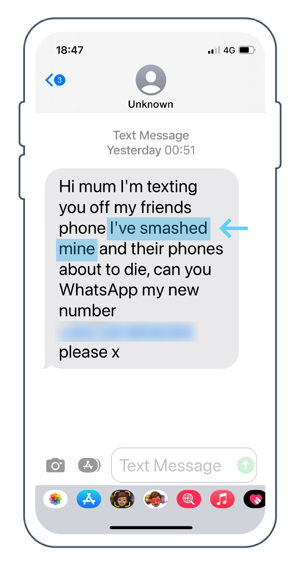 Viral WhatsApp chat shows how woman tricked scammers who tried to