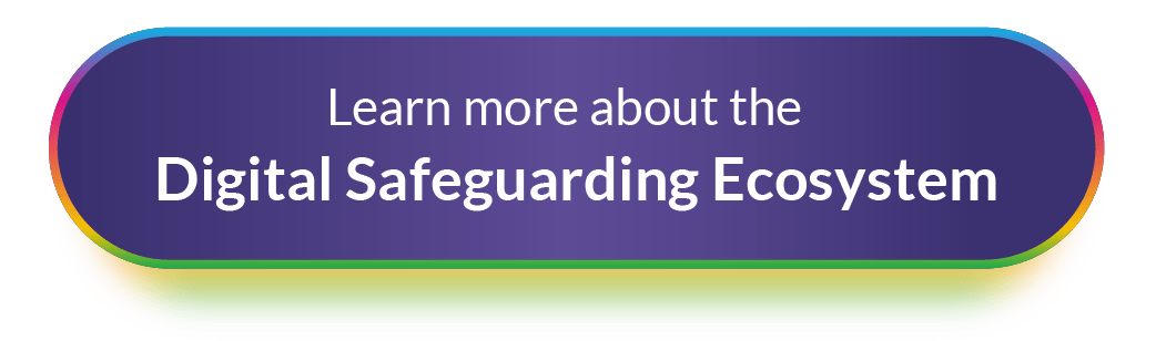 Learn more about the Digital Safeguarding Ecosystem